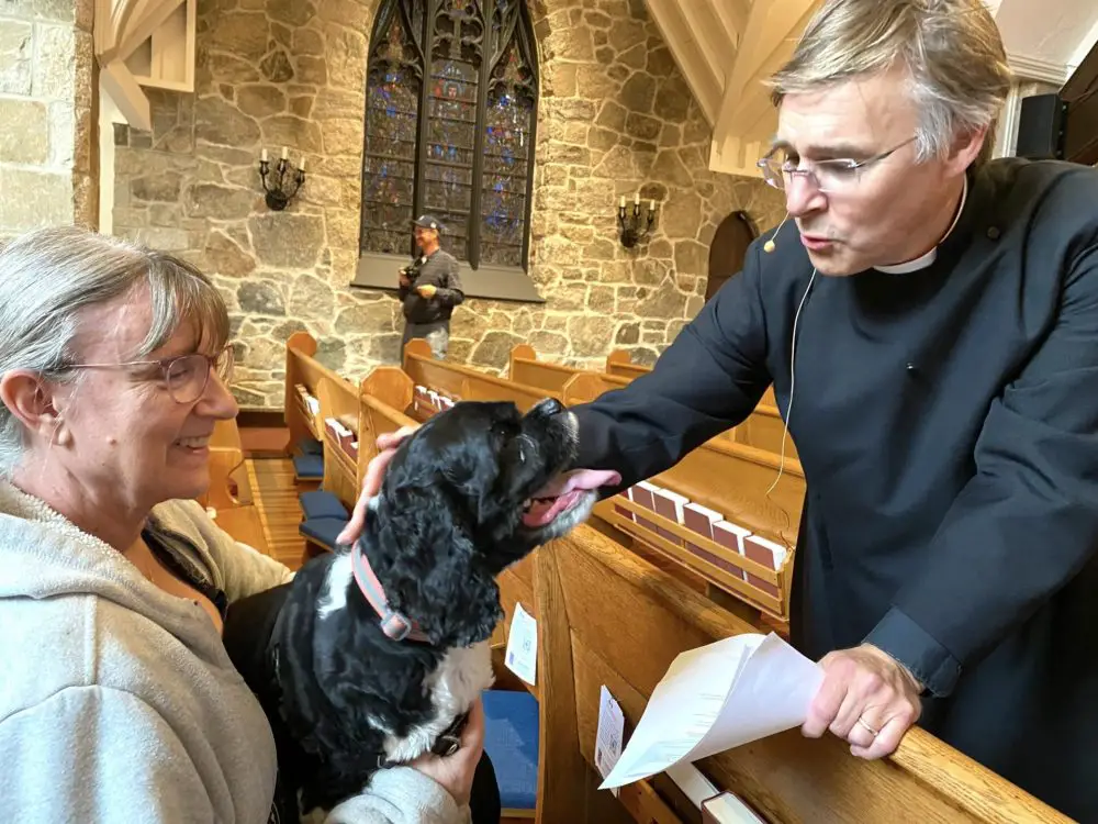 Blessing of the Animals