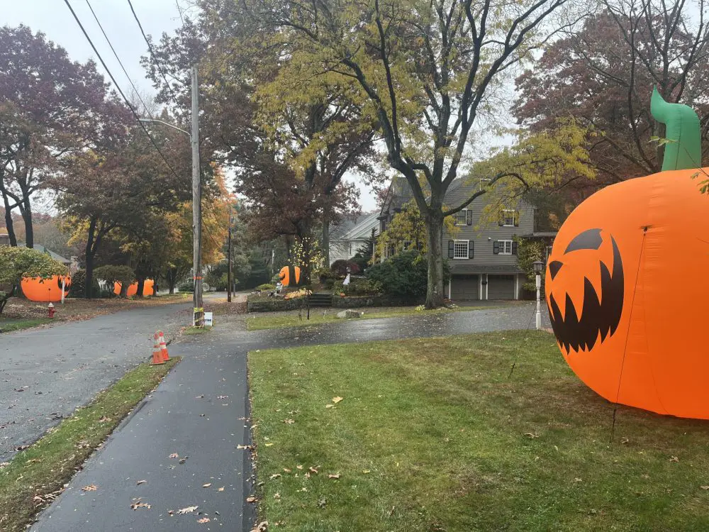 Nantucket Road pumpkins