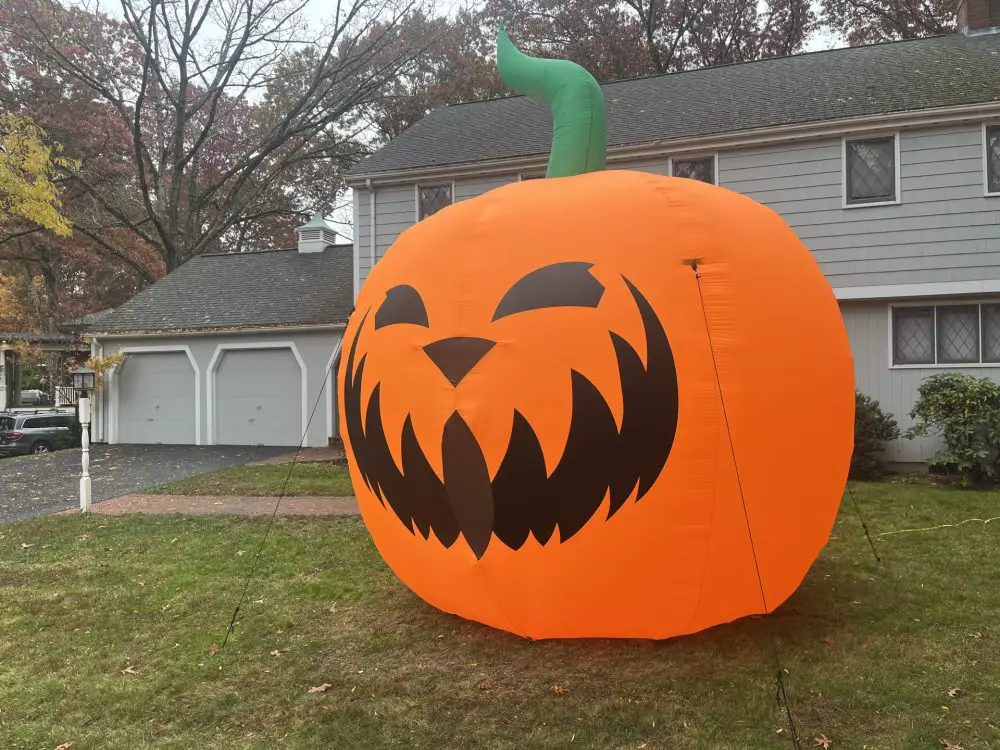 Nantucket Road pumpkins