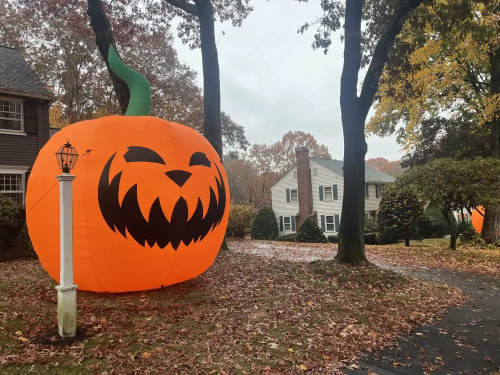 Nantucket Road pumpkins