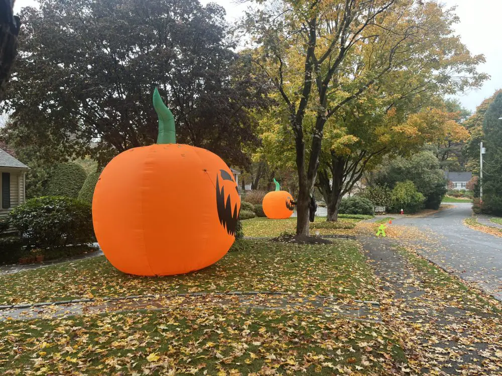 Nantucket Road pumpkins