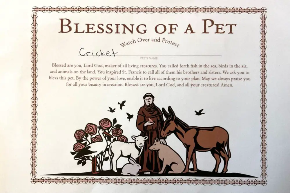 Blessing of the animals