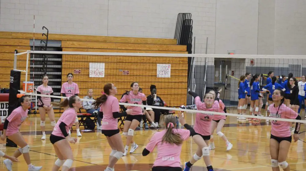 whs volleyball pink