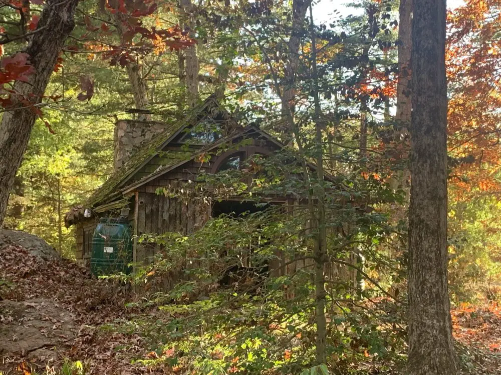 Cronk's Rocky Woodland, Wellesley