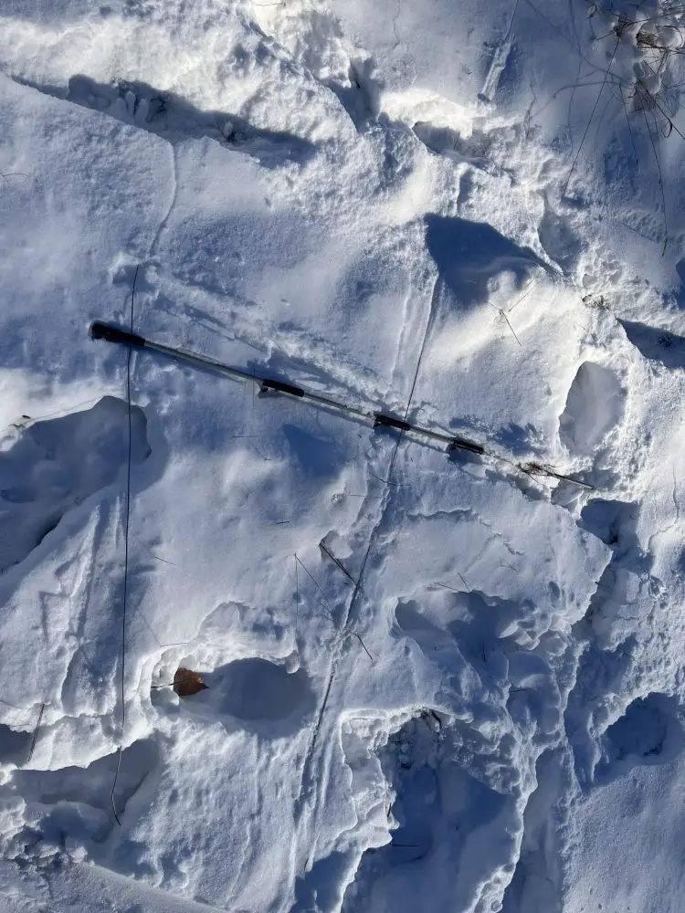 Elm Bank fence down, sledding