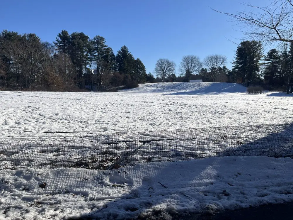 Elm Bank fence down, sledding