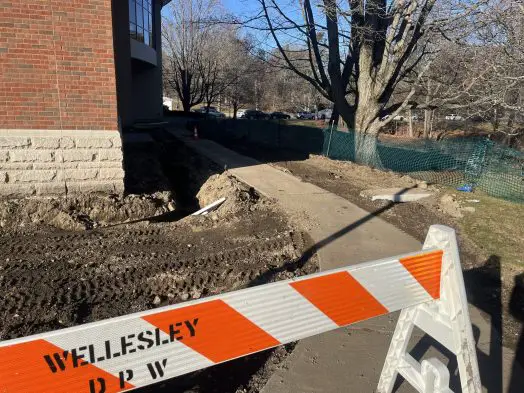 library construction