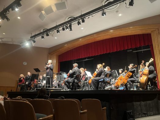 wellesley symphony orchestra