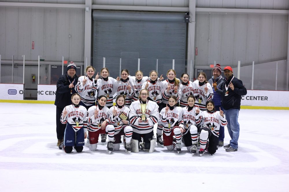 wellesley youth hockey team