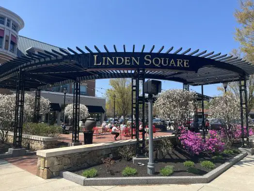 Linden Square courtyard spring