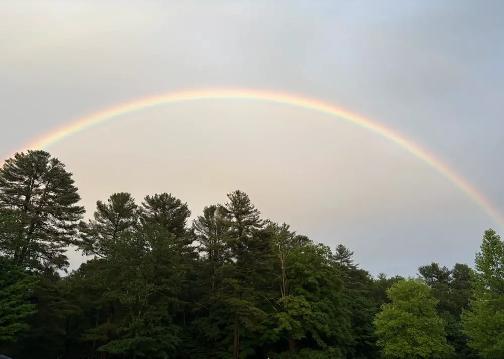 elm bank rainbow