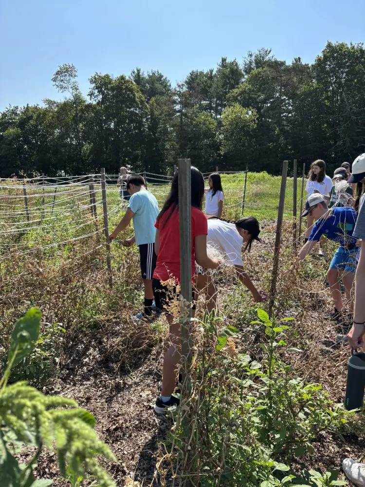 Wellesley Eco-camp
