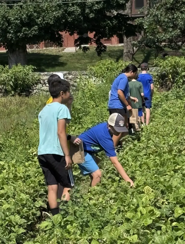 Wellesley Eco-camp