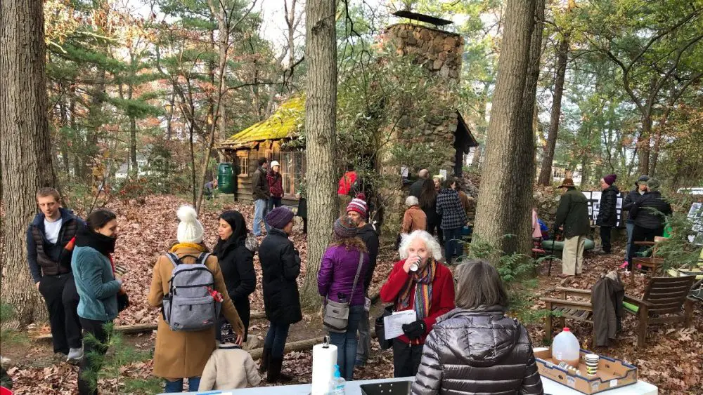 Cronk's Rocky Woodland, Wellesley