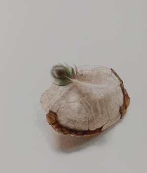 Wellesley Society of Artists