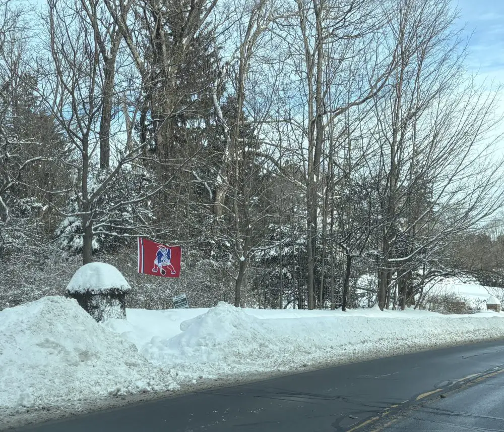 Patriots flag snowstorm winter