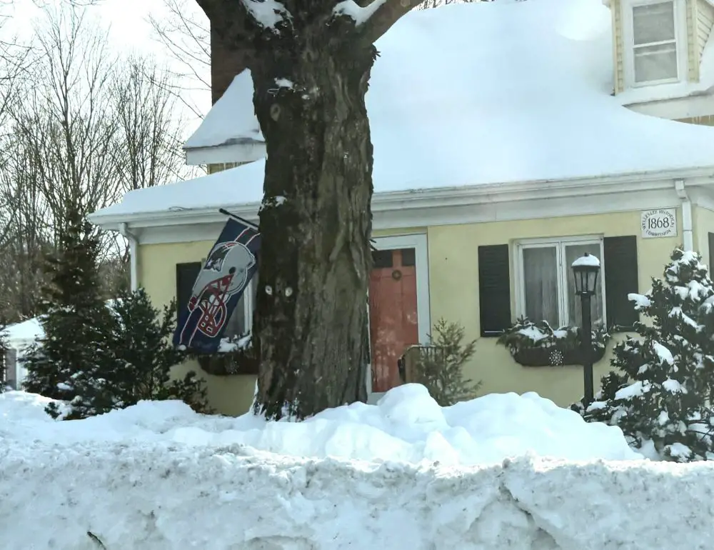 Patriots flag snowstorm winter