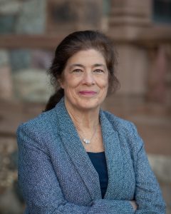 Beth Sullivan Woods, Wellesley Select Board candidate