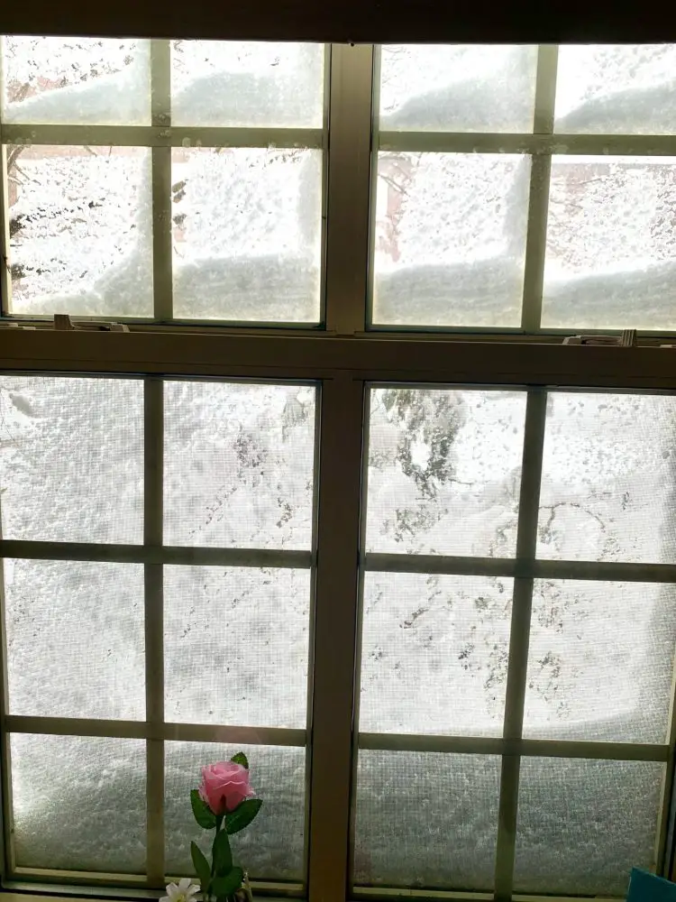 blizzard at Wellesley College