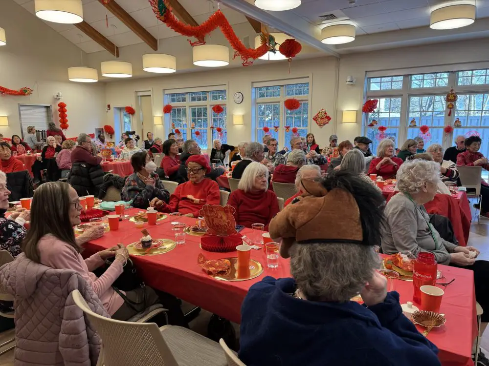 Chinese New Year, Council on Aging