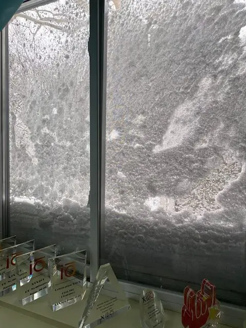 Looking out at the blizzard (photo courtesy of Jill Fischmann)