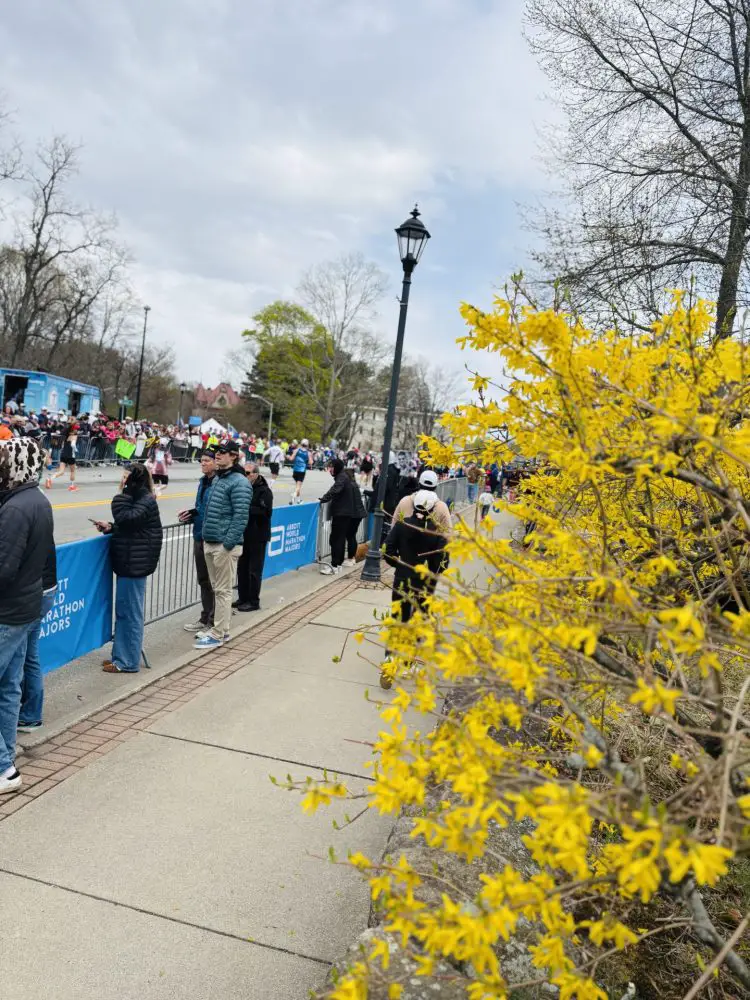 Boston Marathon 2026