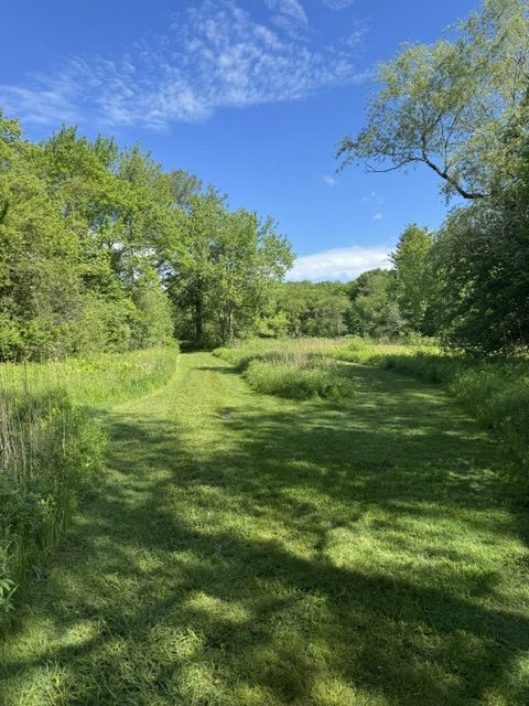 Boulder Brook Reservation spring