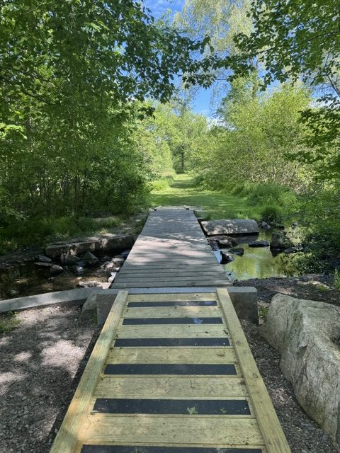 Boulder Brook Reservation spring